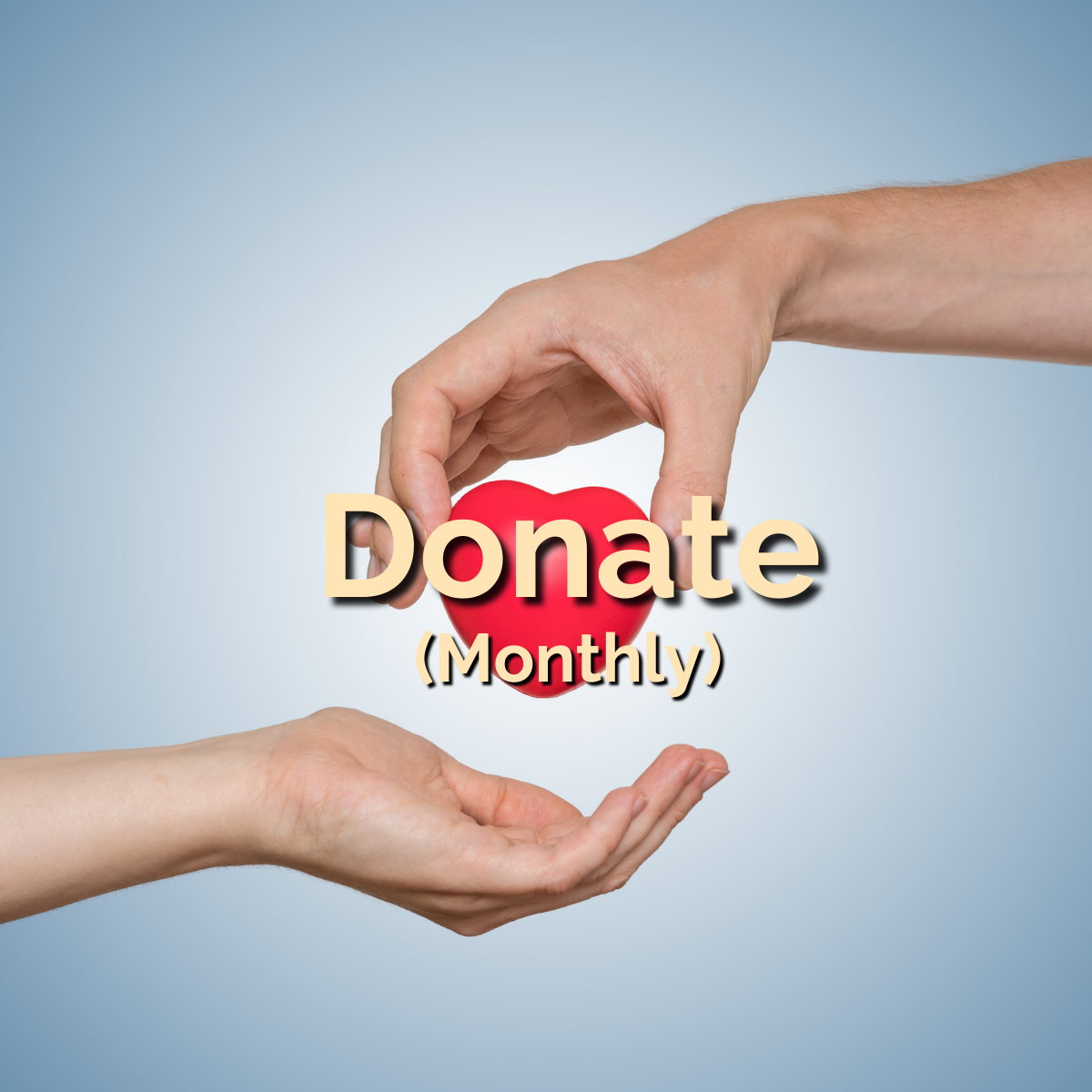 Make a donation to HANP (monthly)